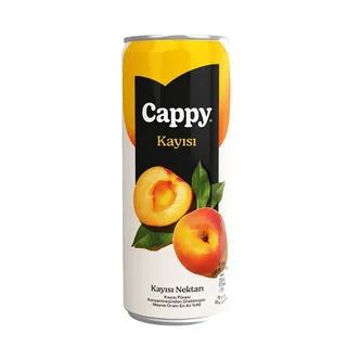 CAPPY KAYISI